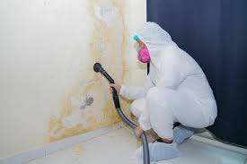 Best Mold Damage Restoration  in Lufkin, TX